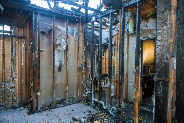Professional Fire Damage Removal technician working in Pleasant Hill, MS